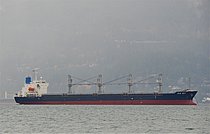 RC ASPELIA — Bulk Carrier, Panama flag, built 2008