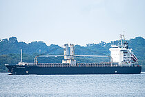 CREST CRANE — General Cargo Ship, Panama flag, built 2008