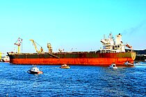 BLUE OPAL — Bulk Carrier, Republic of Liberia flag, built 2012