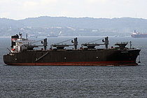ASTRANTIA — Bulk Carrier, Japan flag, built 2009