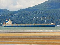 C.S. INNOVATOR — Bulk Carrier, Taiwan flag, built 2012