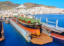PANORIA — Bulk Carrier, Marshall Islands flag, built 2008
