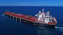 SEA ROSE