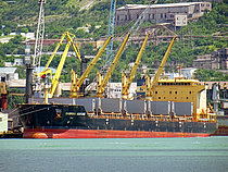 FLC FORTUNE — Bulk Carrier, Hong Kong China flag, built 2010
