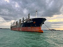 SFYC ARAYA — Bulk Carrier, Thailand flag, built 2010