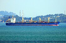 JIN WANG LING — Bulk Carrier, Hong Kong, China flag, built 2010