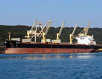 VISHVA EKTA — Bulk Carrier, India flag, built 2012