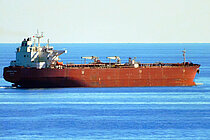 SAFEEN ELONA