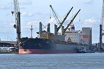 ILIA — Bulk Carrier, Liberia flag, built 2009