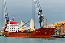 GRONA FALCON