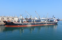 TRUE PRESTIGE — Bulk Carrier, Portugal flag, built 2010
