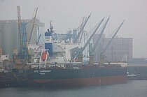 HORIZON VEGA — Bulk Carrier, Marshall Islands flag, built 2009