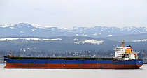 FULMAR S — Bulk Carrier, MARSHALL ISLANDS flag, built 2010