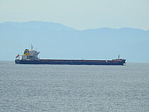 THASSOS WARRIOR — Bulk Carrier, LIBERIA flag, built 2010