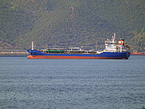 T.SEVGI — Oil And Chemical Tanker, TÜRKİYE flag, built 2008