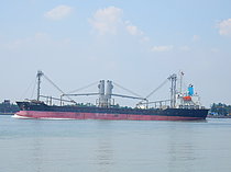ROZ Y — Bulk Carrier, Comoros flag, built 2008