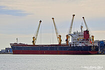 GOOD WISH — Bulk Carrier, LIBERIA flag, built 2011