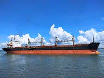 ELINA II — Bulk Carrier, PANAMA flag, built 2008