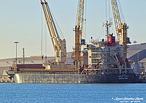 HALIT BEY — General Cargo Ship, Barbados flag, built 2008