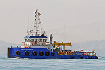 SWISSCO SERVER — Tug, St Vincent and Grenadines flag, built 2008