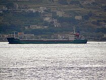 HALISDEMIR