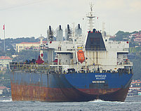 AN QI FENG — Bulk Carrier, Marshall Islands flag, built 2011