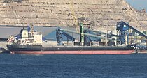 DSM STAR — Bulk Carrier, SAINT KITTS AND NEVIS flag, built 2008