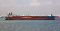 YUAN ZHEN HAI — Bulk Carrier, Singapore flag, built 2013