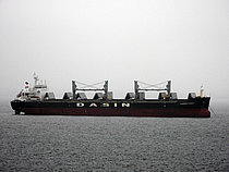 MANDARIN PHOENIX — Bulk Carrier, Singapore flag, built 2010