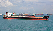 VISHVA VINAY — Bulk Carrier, India flag, built 2012