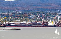 CIELO D'ITALIA — Bulk Carrier, Liberia flag, built 2015