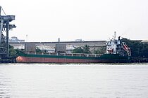 HALDI — Bulk Carrier, INDIA flag, built 2008