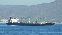 NEGMAR CICEK — General Cargo Ship, Marshall Islands flag, built 2011