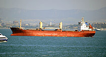 GRONA VULTURE — Bulk Carrier, Marshall Islands flag, built 2009