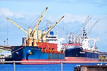 SEASTAR ENDEAVOUR — Bulk Carrier, MALTA flag, built 2011