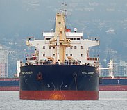 GAO XIN ZHI ZE — Bulk Carrier, CHINA flag, built 2010