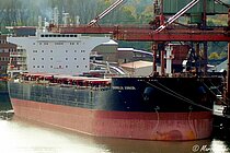 CHARIKLIA JUNIOR — Bulk Carrier, LIBERIA flag, built 2011