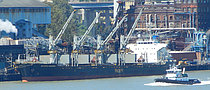 STR LUCKY — Bulk Carrier, PANAMA flag, built 2009