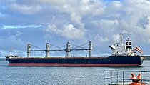SAGITTARIUS — Bulk Carrier, Marshall Islands flag, built 2010
