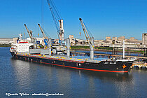 LADY AILLAR — Bulk Carrier, Barbados flag, built 2010