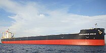 CENTAURUS DREAM — Bulk Carrier, Japan flag, built 2013