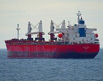 LINDEN ARROW — Bulk Carrier, BAHAMAS flag, built 2013