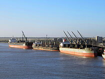 BELLINA COLOSSUS — Bulk Carrier, Singapore flag, built 2013