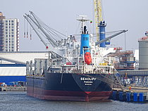 LUCKY RIVER — Bulk Carrier, PANAMA flag, built 2009