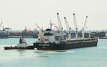 ASL ILEANA — Bulk Carrier, Liberia flag, built 2010