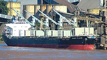 GANT FLAIR — Bulk Carrier, LIBERIA flag, built 2010