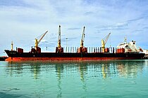 HPC FUTURE — Bulk Carrier, Panama flag, built 2010