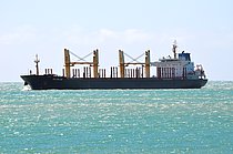 ROYAL FALCON — Bulk Carrier, PANAMA flag, built 2009