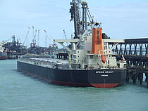 CHINAFRIE SPRING — Bulk Carrier, SINGAPORE flag, built 2010