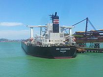 ORE AMAZONAS — Bulk Carrier, Panama flag, built 2010